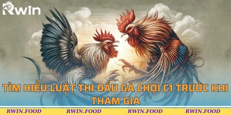 Tìm hiểu luật thi đấu gà chọi C1 trước khi tham gia